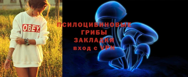 PSILOCYBIN Балабаново