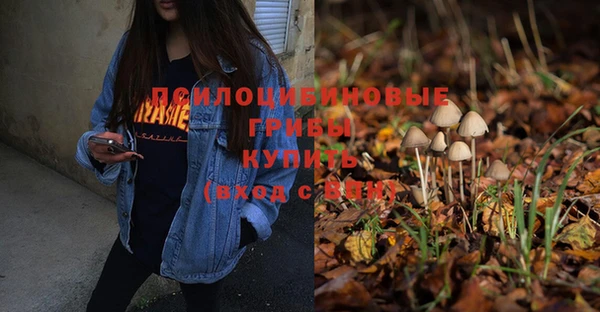 apvp Дмитровск