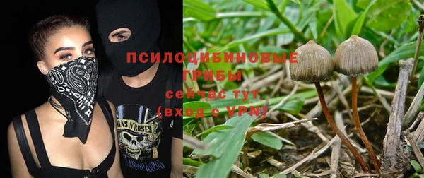 гашишное масло Беломорск